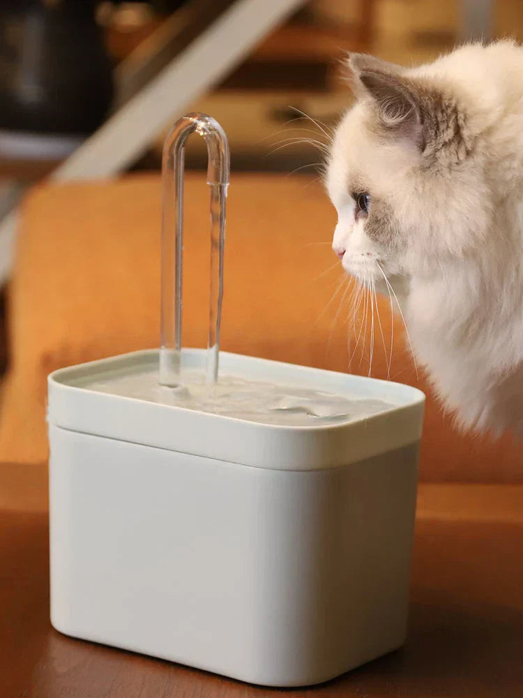 Fontana Pet Silenziosa | Acqua Sempre Fresca